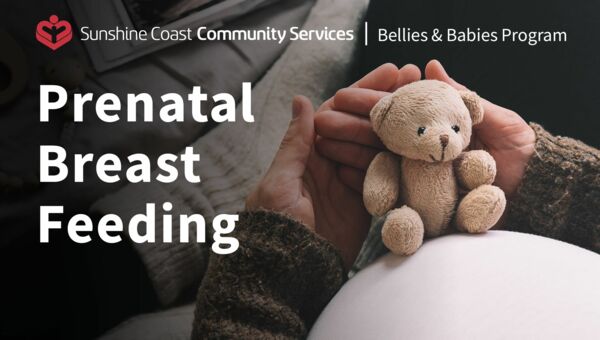 Prenatal Breastfeeding (Gibsons)